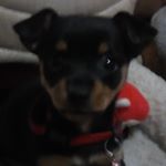 Profile Picture of Ginger Jackson (@ginger.jackson.5621) on Instagram