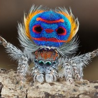 Profile Picture of Fern Thompson (@fern-thompson) on Quora