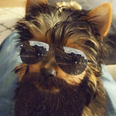 Profile Picture of Max Bilz (@MaxBilzBlitz) on Twitter