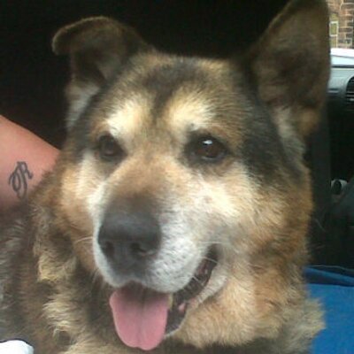 Profile Picture of Zouse+buch (@James75263915) on Twitter