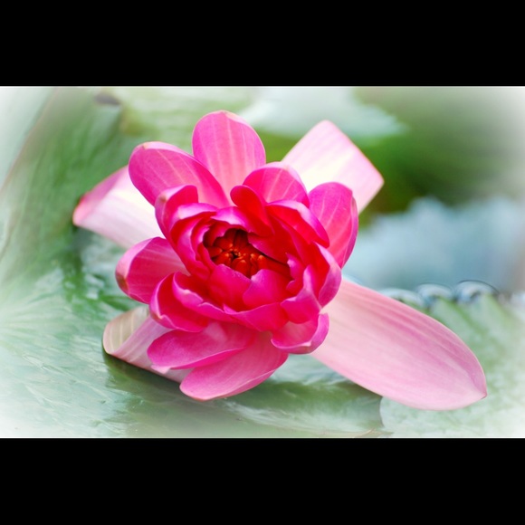 Profile Picture of Jessica Gabler (@peachyjessers) on Poshmark