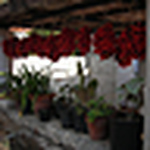 Profile Picture of Matt Gray (@mattgray80) on Flickr