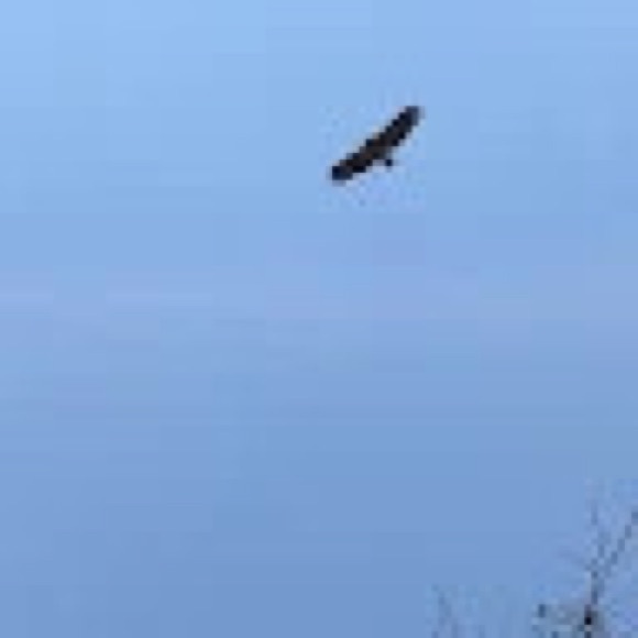 Profile Picture of Jessie Stapf (@jessiestapf) on Poshmark