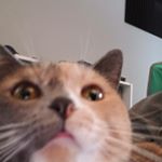 Profile Picture of Caleb Rushing (@caleb.rushing) on Instagram