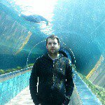 Profile Picture of Mark Springett (@wedgevan) on Instagram