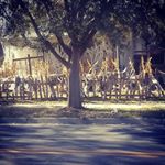 Profile Picture of jeff wiechman (@wiechmanjeff) on Instagram