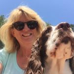 Profile Picture of Susan Unruh (@suziq59) on Instagram