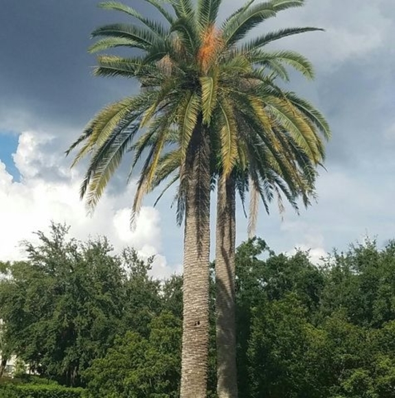 Profile Picture of Jennifer Libecki (@jlibecki) on Poshmark