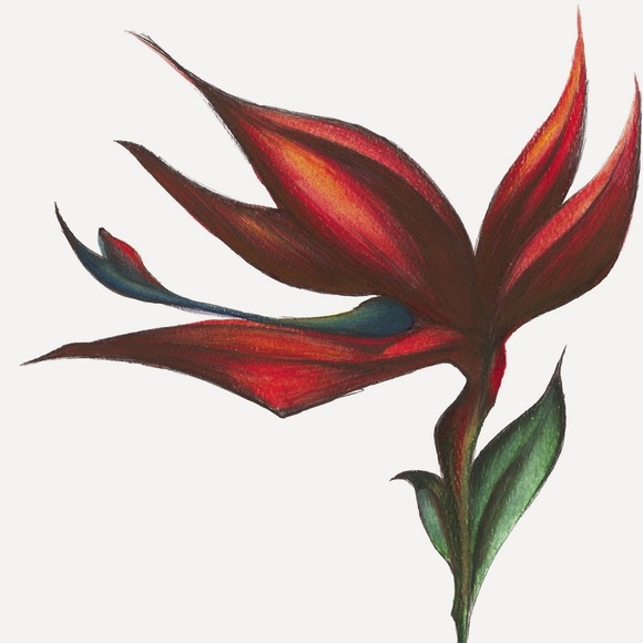 Profile Picture of Kristal Muhich (@deenicolemell) on Poshmark