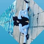 Profile Picture of Denzel Major (@craigmajor23) on Instagram