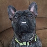 Profile Picture of Brian Stephens (@spacecadet27) on Instagram