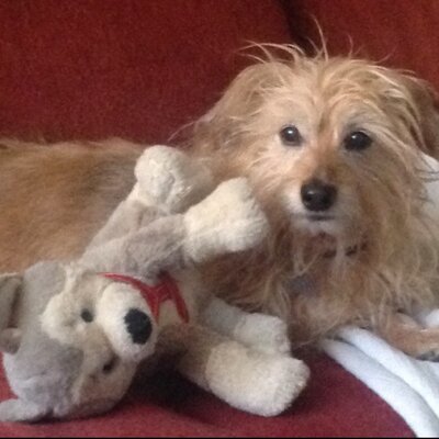 Profile Picture of Lori Neumann (@@HunterMaru) on Twitter