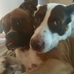 Profile Picture of Isaac & Tyson (@isaactyson777) on Instagram