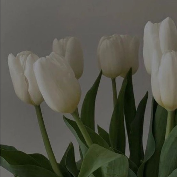 Profile Picture of Savannah Reimer (@svnnhreimer19) on Poshmark