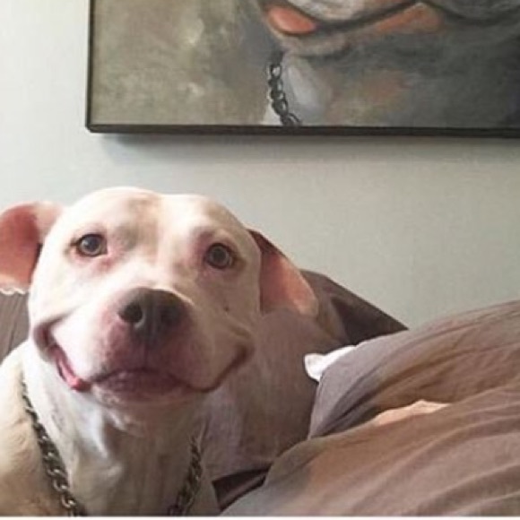 Profile Picture of Monique Hroncich (@moniquehron) on Poshmark