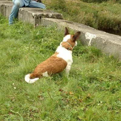 Profile Picture of Richard Mumby (@RichardMumby) on Twitter