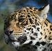 Profile Picture of Stuart Hills (@stuart.hills.52) on Facebook