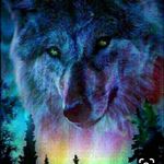 Profile Picture of Brianna Noller (@briannanoller) on Instagram