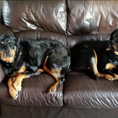 Andy Fretwell - Twitter Profile Picture of Andy Fretwell (@frets79) on Twitter