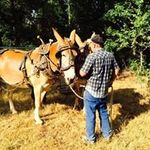 Profile Picture of Jerry Morton (@jmortontransportation) on Instagram
