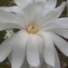 Profile Picture of Beverly Severance (@beverly712) on Pinterest