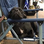 Profile Picture of Digby Douglass (@digbydouglass_) on Instagram