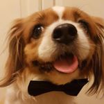 Profile Picture of Benjamin (@russianbenjamin) on Instagram