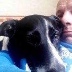 Profile Picture of mark bramwell (@markbramwell15.mb) on Instagram