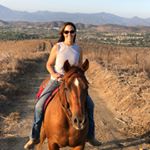 Profile Picture of Chrissy Snyder Shook (@chrissysnydershook) on Instagram