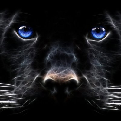 Profile Picture of Sifet Sadibasic (@SSadibasic) on Twitter