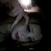 Profile Picture of Jaylin Brooks (@jaylin.brooks.92) on Facebook