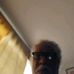 Profile Picture of Jeffery Coats (@Jeffery-Coats) on Facebook