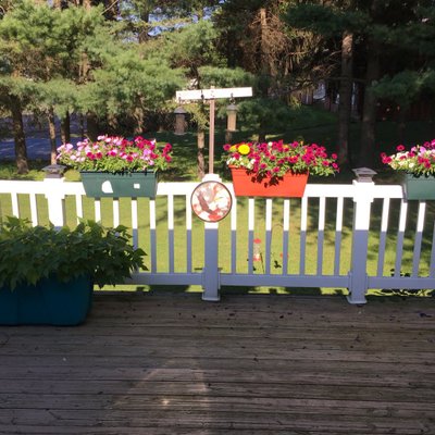 Profile Picture of Kathy Holford (@KathyHolford) on Twitter