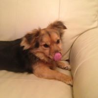 Profile Picture of Anne Scully (@anne-scully-4) on Quora