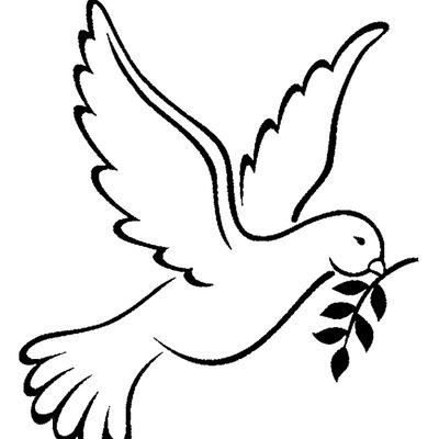 Profile Picture of Salman Yahya (@ahmad__salman) on Twitter