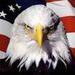 Profile Picture of Larry Studer (@larrystuder) on Pinterest