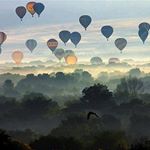 Profile Picture of A Rainone (@annr234) on Instagram