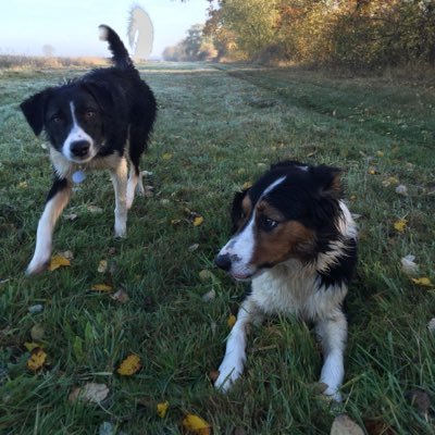 Profile Picture of Neil Jennings (@Neiljennings1) on Twitter