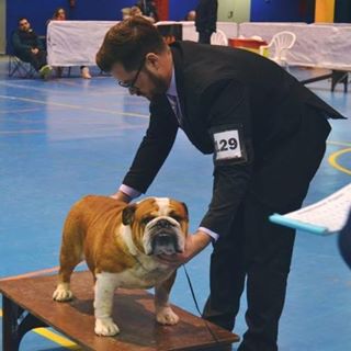 Profile Picture of Francisco Manuel Andrey Periago (Bulldogs del Boquerón ) (@franciscoandrey.periagobulldogsdelboqueron) on Facebook