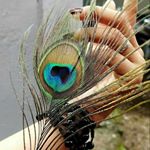 Profile Picture of _meera_ (@_meera_narayanan_) on Instagram