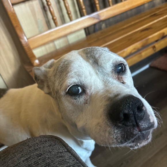 Profile Picture of Richard Chaney (@richardchaney76) on Poshmark