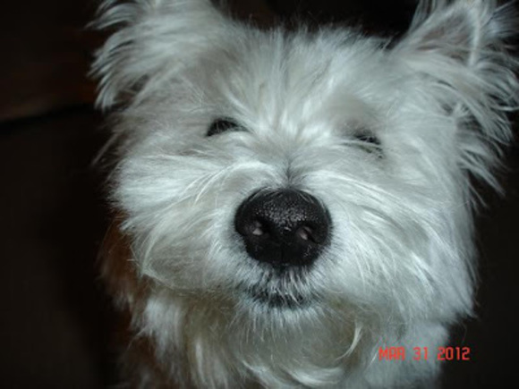 Jueun Cha - Poshmark Profile Picture of Jueun Cha (@sugarlove119) on Poshmark