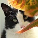 Profile Picture of shayla craig (@craig2764df) on Instagram