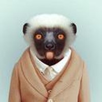 Profile Picture of Alvis Mitchell (@alvis-mitchell) on Quora