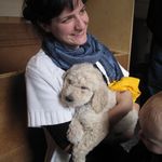 Profile Picture of Allison Heinrichs Hydzik (@allisonhydzik) on Instagram