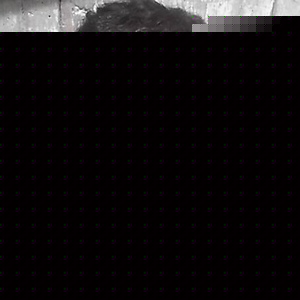 Profile Picture of -arturo- Trujillo Ibarra (@200520322) on Myspace