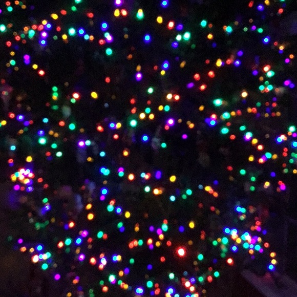 Profile Picture of Noelle Pachella (@petenoey) on Poshmark