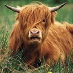 Profile Picture of Shawn (@swpenner) on Instagram