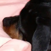 Profile Picture of Briana Zatek (@brianazatek3523) on Youtube