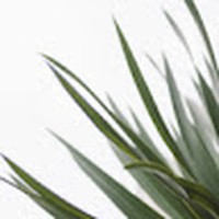 Débora Santos - Quora Profile Picture of Débora Santos (@débora-santos-79) on Quora